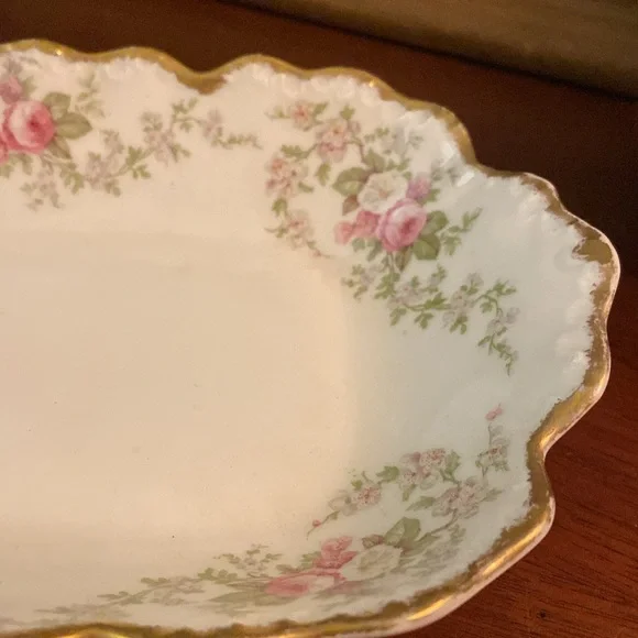 Vintage Limoges France celery platter dish